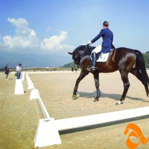 DRESSAGE